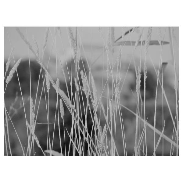 PHOTO84, CLUB, 84 , LUBERON